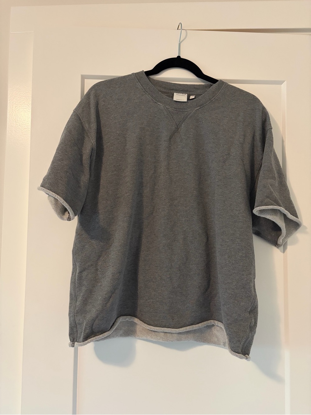 Aritzia Short-Sleeve Crewneck Sweatshirt - Gray